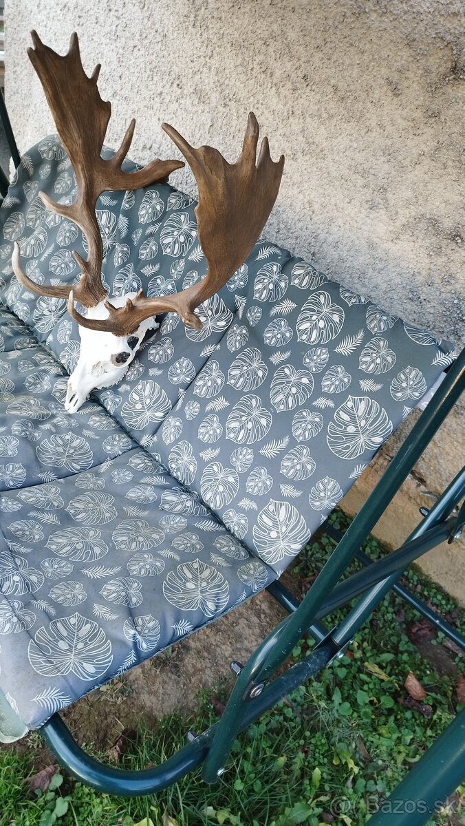 Predám medailovú aritnu trofej Daniela. Parožie zhody trofej - 5