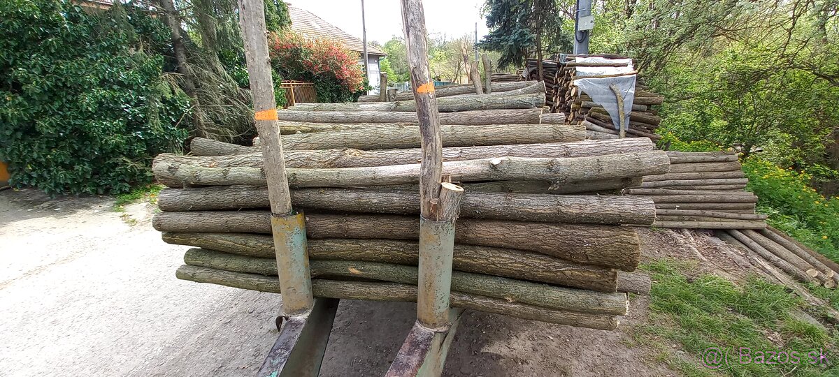 Predam agatove koly stlpy zrde - 5