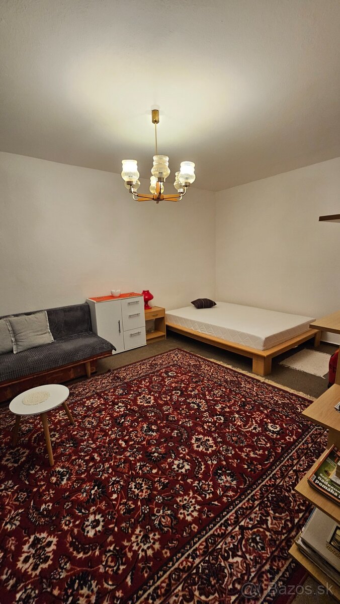 TOP PONUKA 1 izbovy Rub II - 5