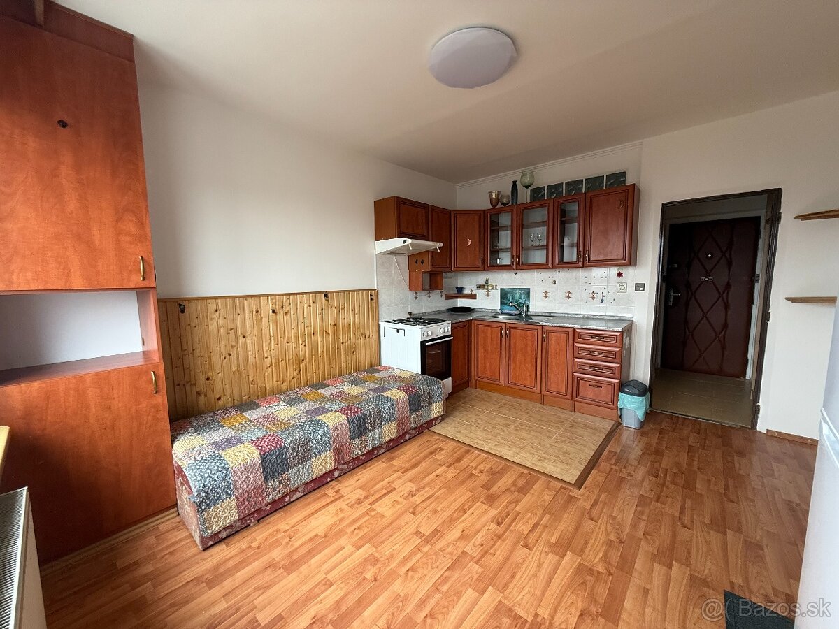 1 izbový byt na prenájom - 5