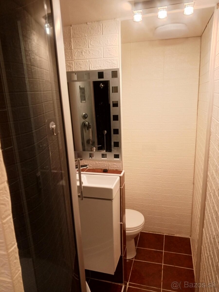 Prenajmem 1 izbový byt - 5
