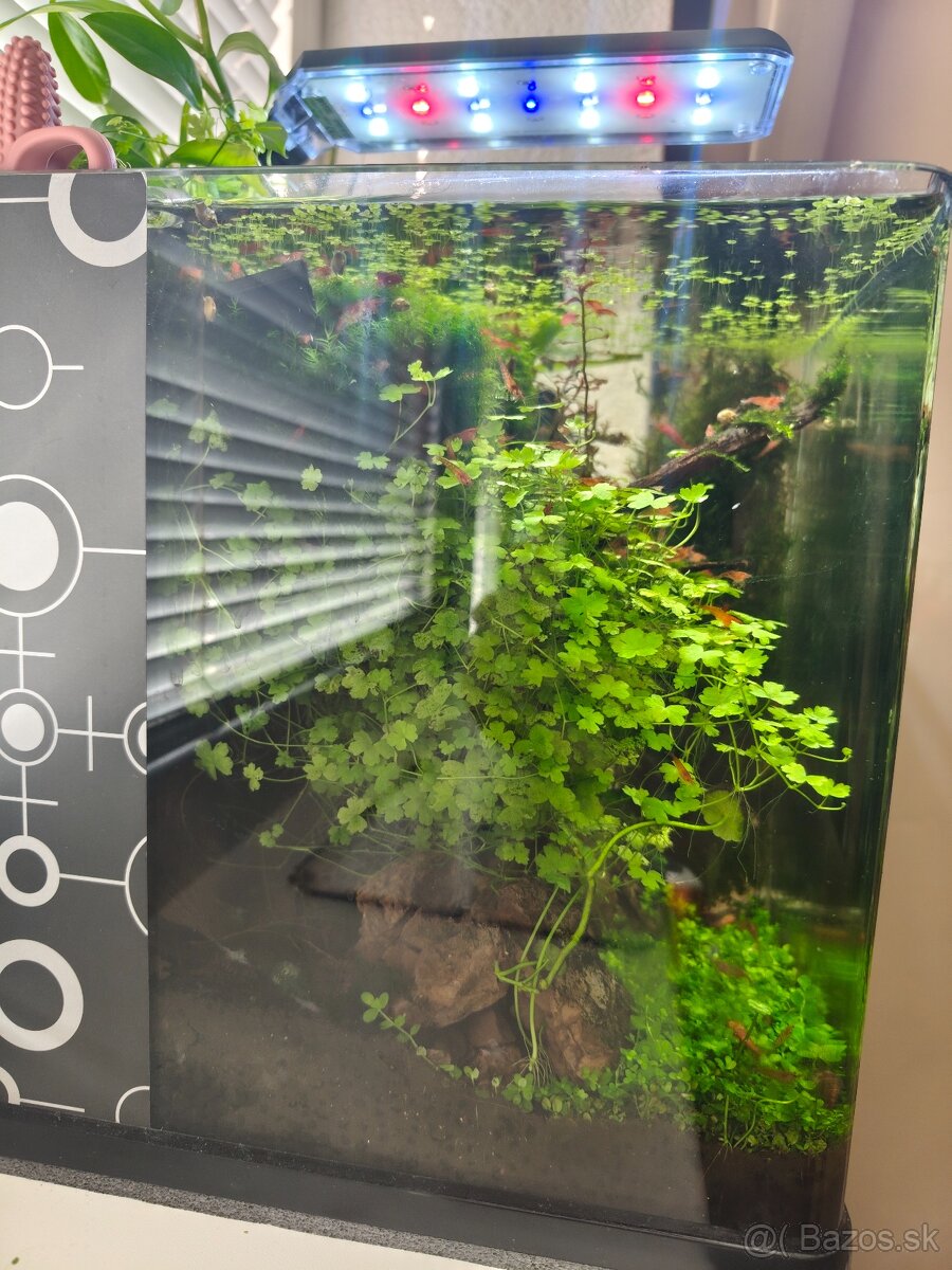 Akvárium 30l - Invital - 5