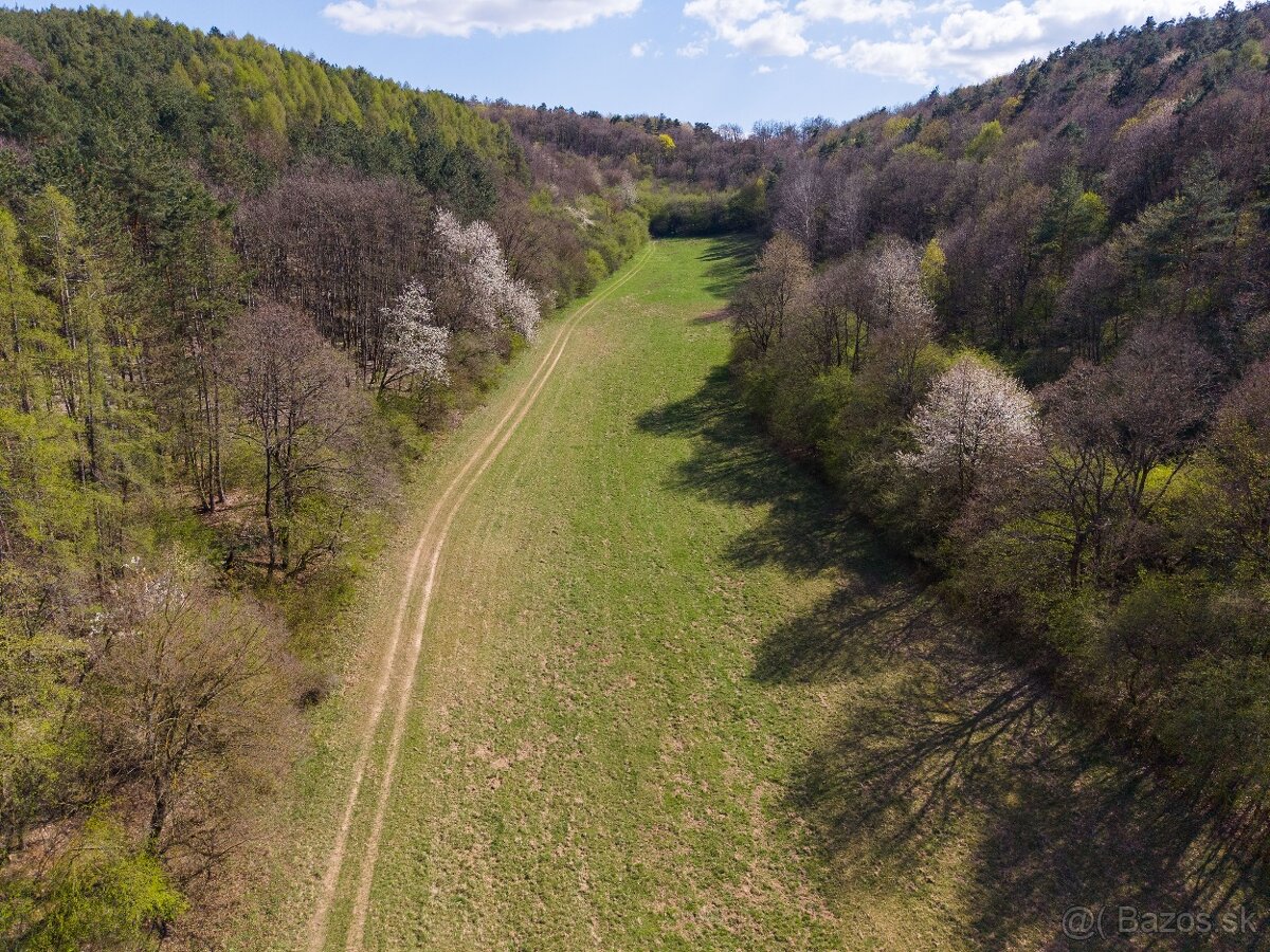 PREDAJ: Pozemok v obci Beckov - 5