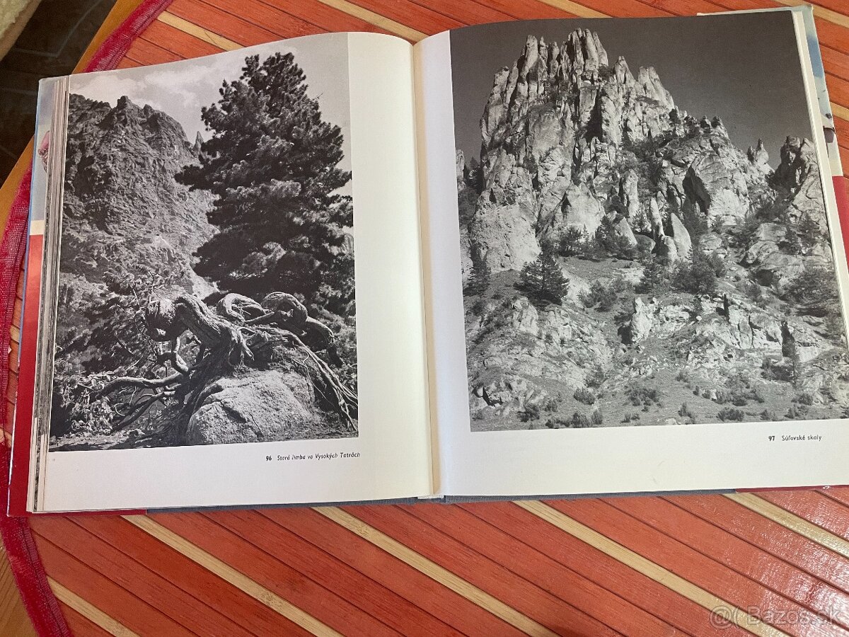 Zlatá brána - Karol Plicka - 5