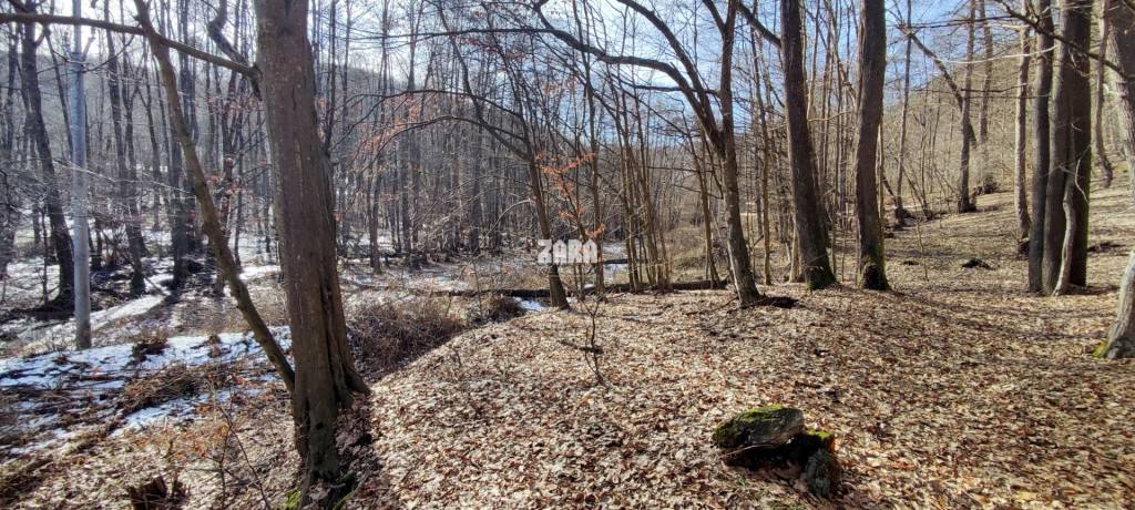 ŠUGOV-ŠUGOVSKÁ DOLINA, INVESTIČNÝ veľkorysý pozemok 3716 m2. - 5