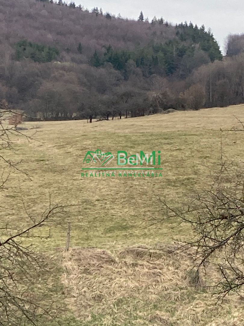 Pozemok pre mobilný dom 3970 m2, polosamota, Michalková - 5