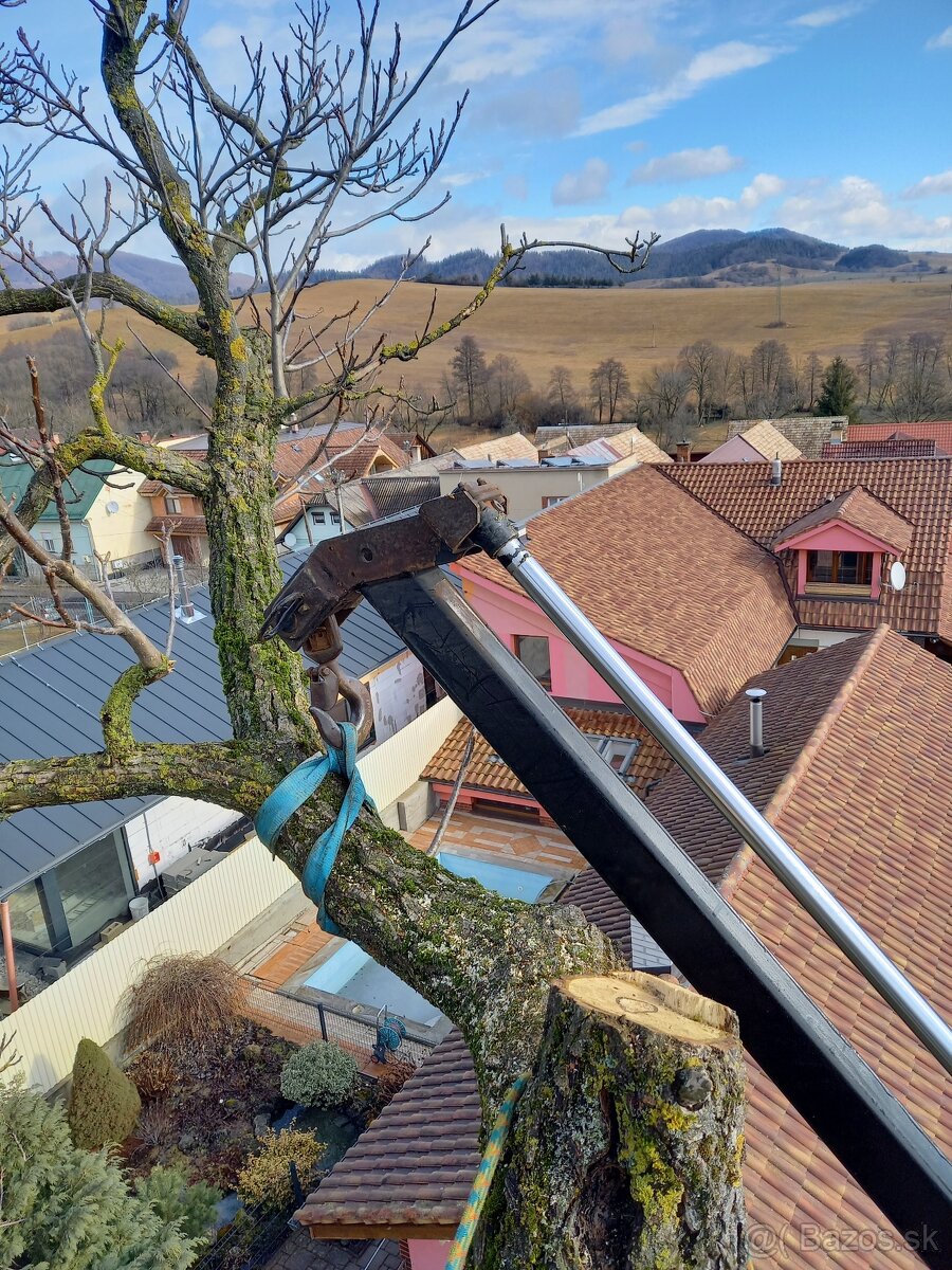 Výrub a opilovanie stromov LACNO A BEZPEČNE - 5