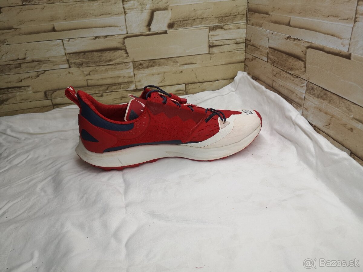 Nike 46 - pánske tenisky Air Zoom Pegasus 36 Gyakusou Red - 5