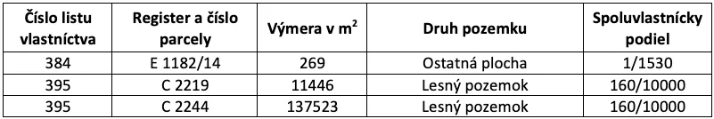 Fotografia 5