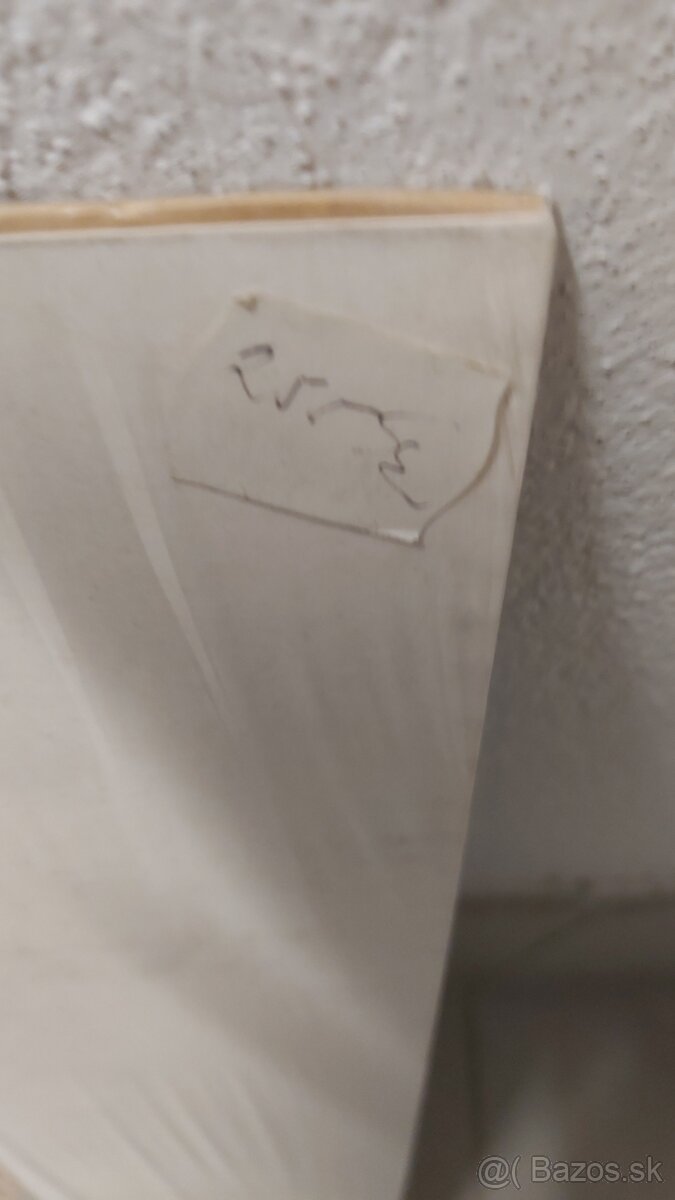 Foto na kartóne Salvator Dalí 80x60cm - 5