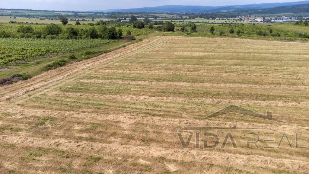 Na predaj zaujímavý pozemok v Modre s výmerou 6419 m2 - 5