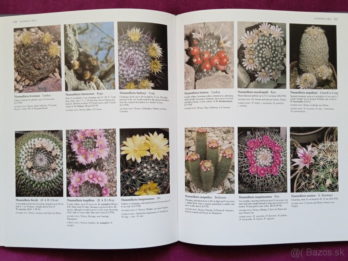 Ilustrovaná encyklopédia kaktusov v angličtine - 5