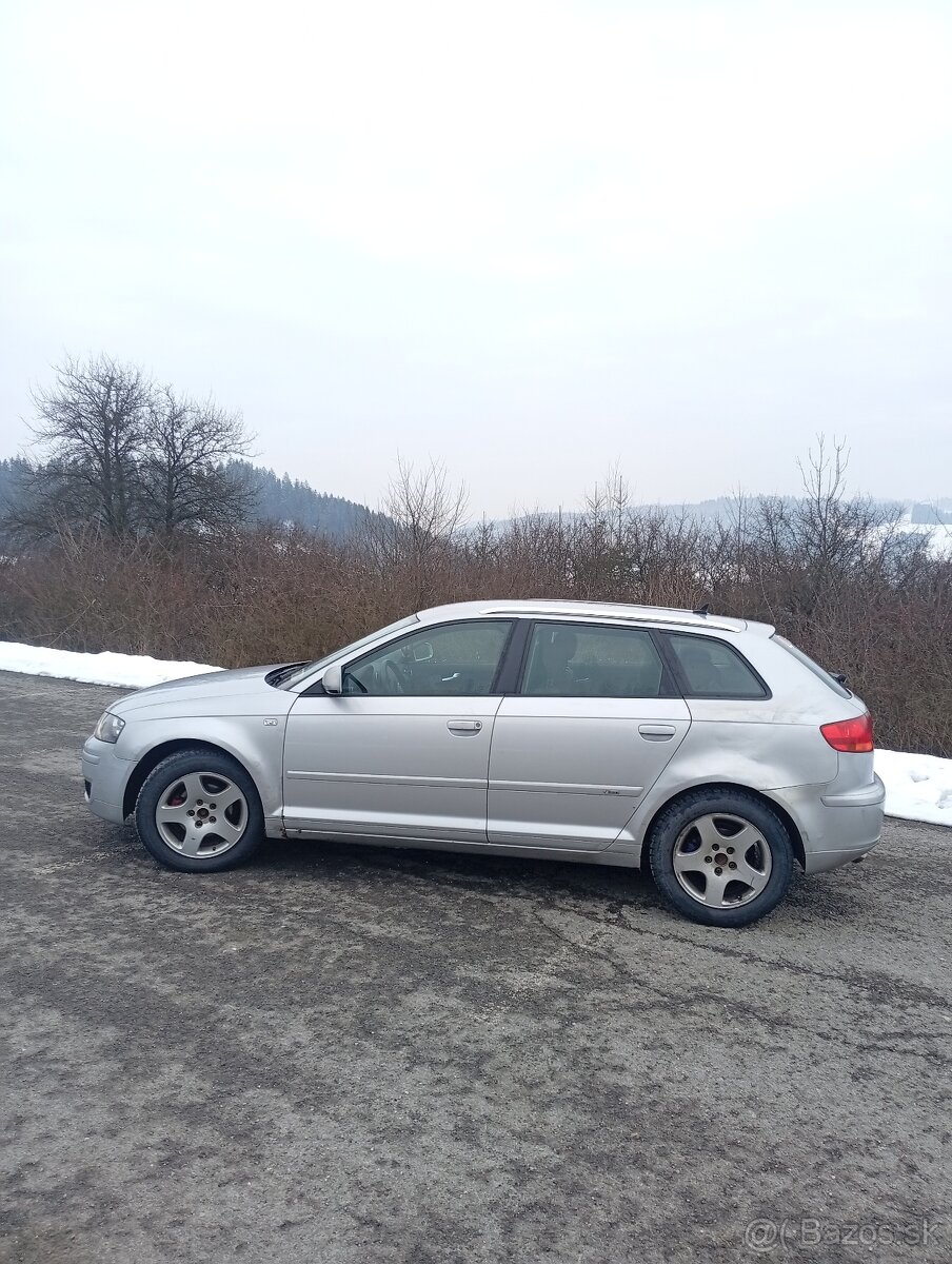 A3 8P 1.9TDI 77kW - 5