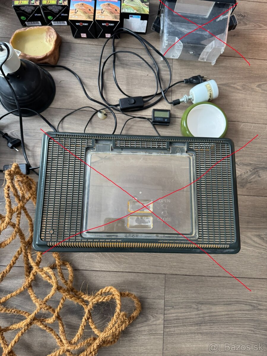 veci po chove agamy bradatej - 5