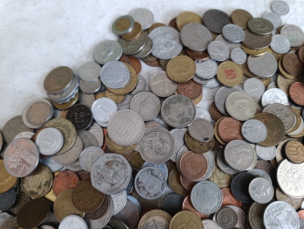 Mince 3.5kg lot2 - 5