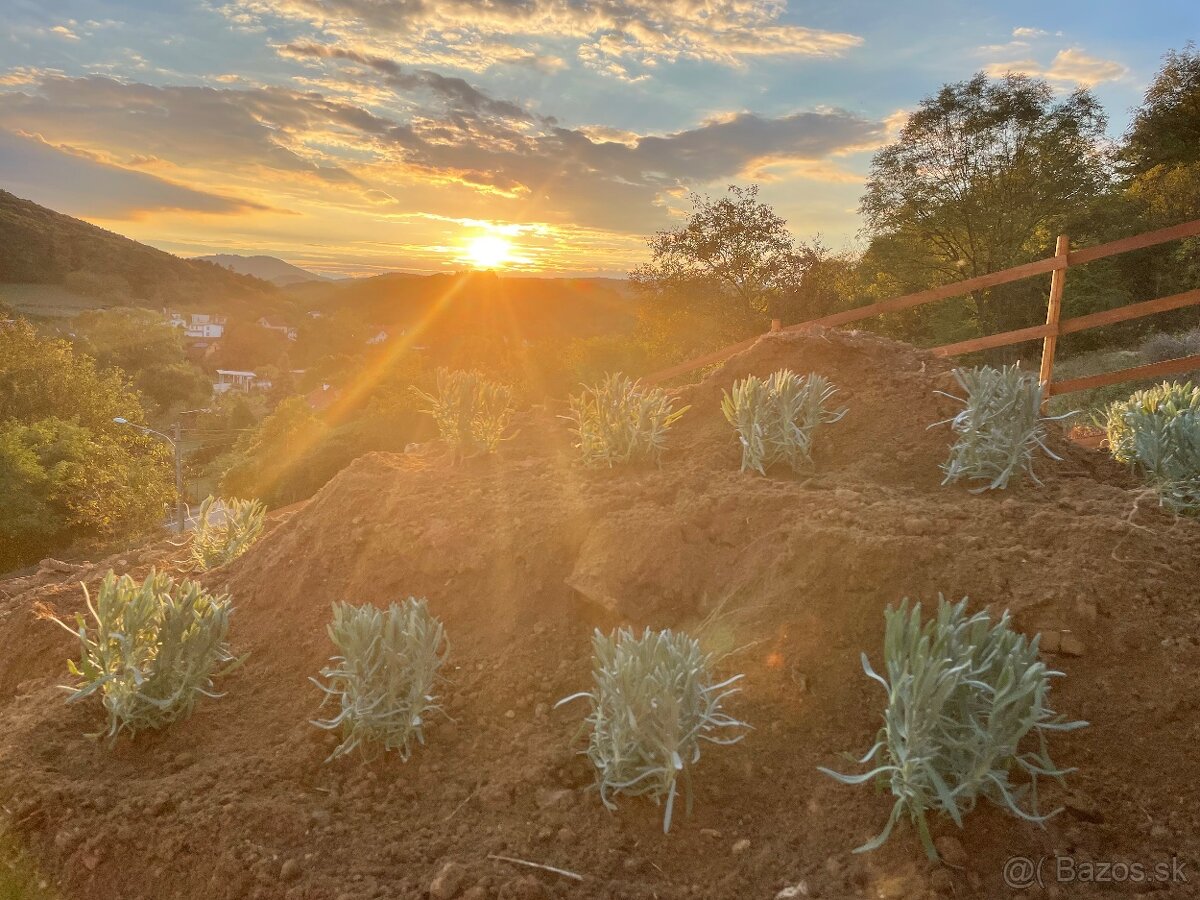 EXLUZÍVNY pozemok so stavebným povolením v obci Prašník - 5