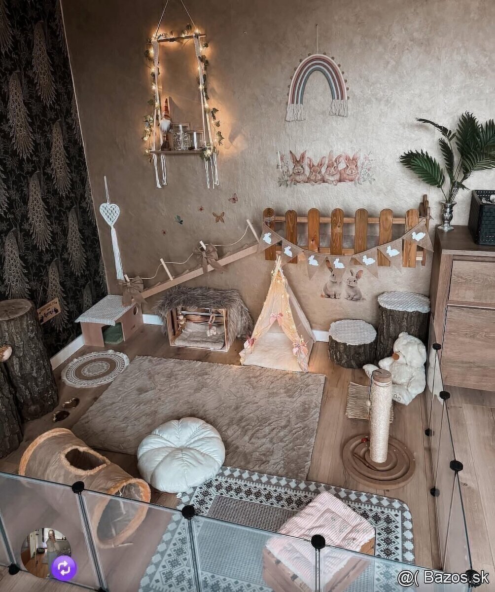 💛🌼 minilop králik 🌼💛🐰 - 5