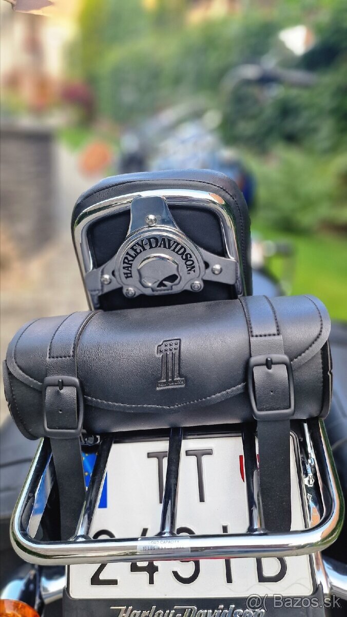 Harley Davidson Low Rider 2020 (FXLR) - 5