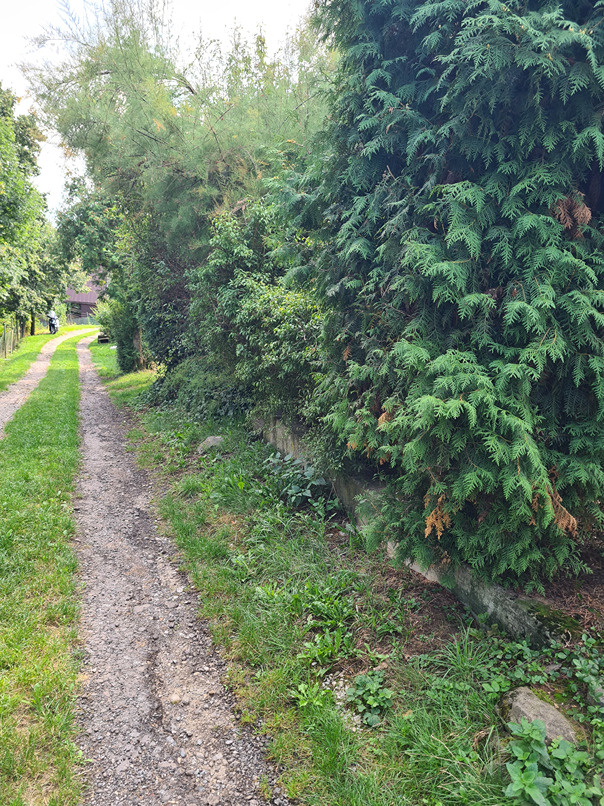 Záhrada s murovanou chatou s nádherným výhľadom - 5