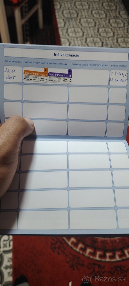 Nemecký ovčiak - 5