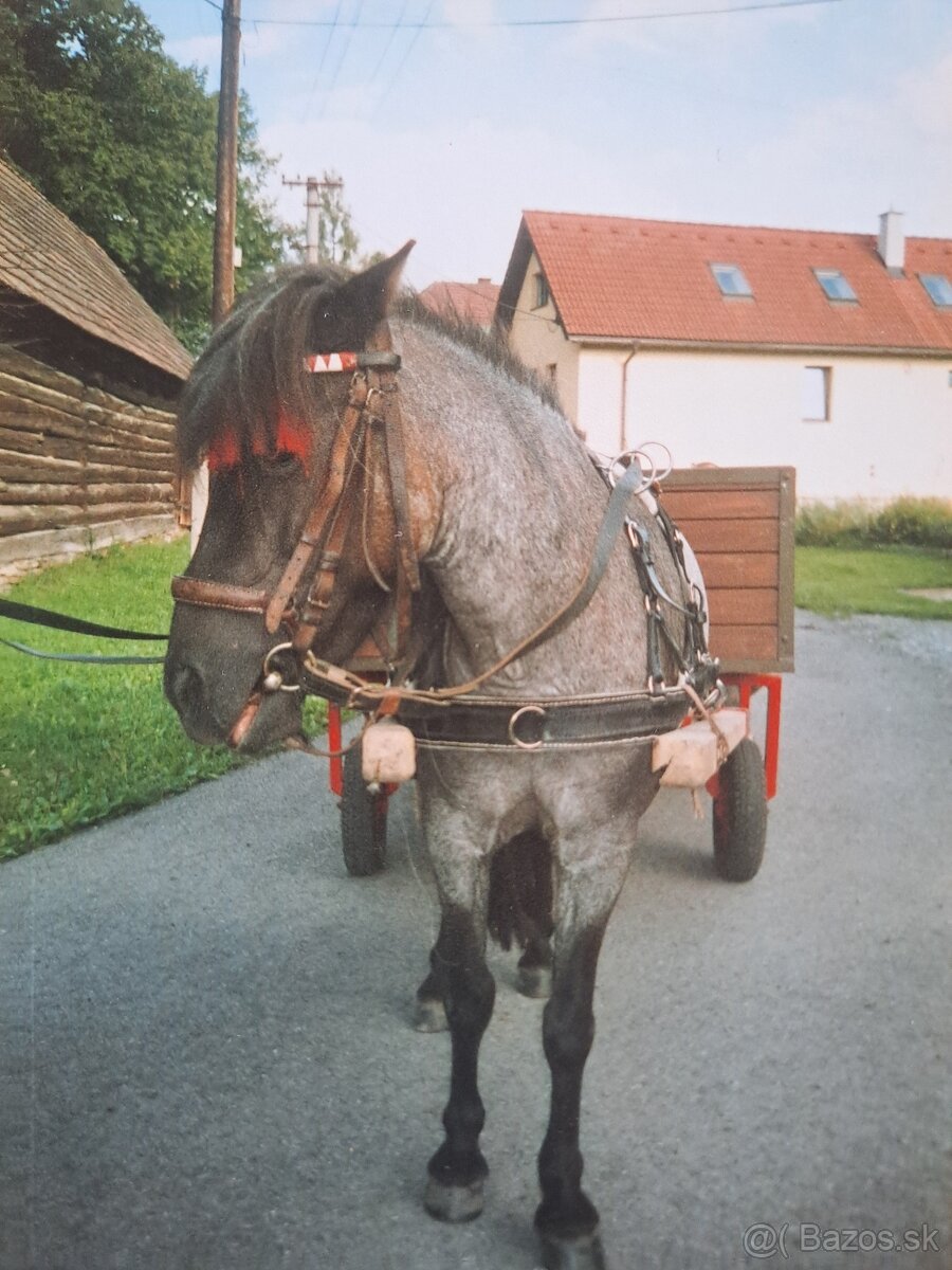 Predám poprsný postroj - 5