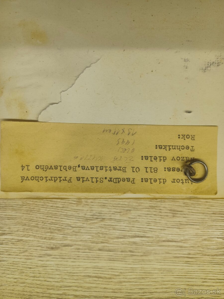 Obrazy Silvia Fridrichová - 5