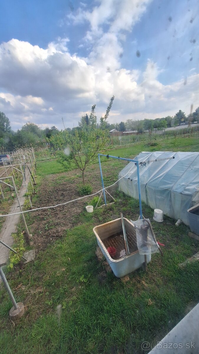 ‼️AKCIA‼️Predám zahradu s chatou v Štúrove na sutoku Dunaja - 5