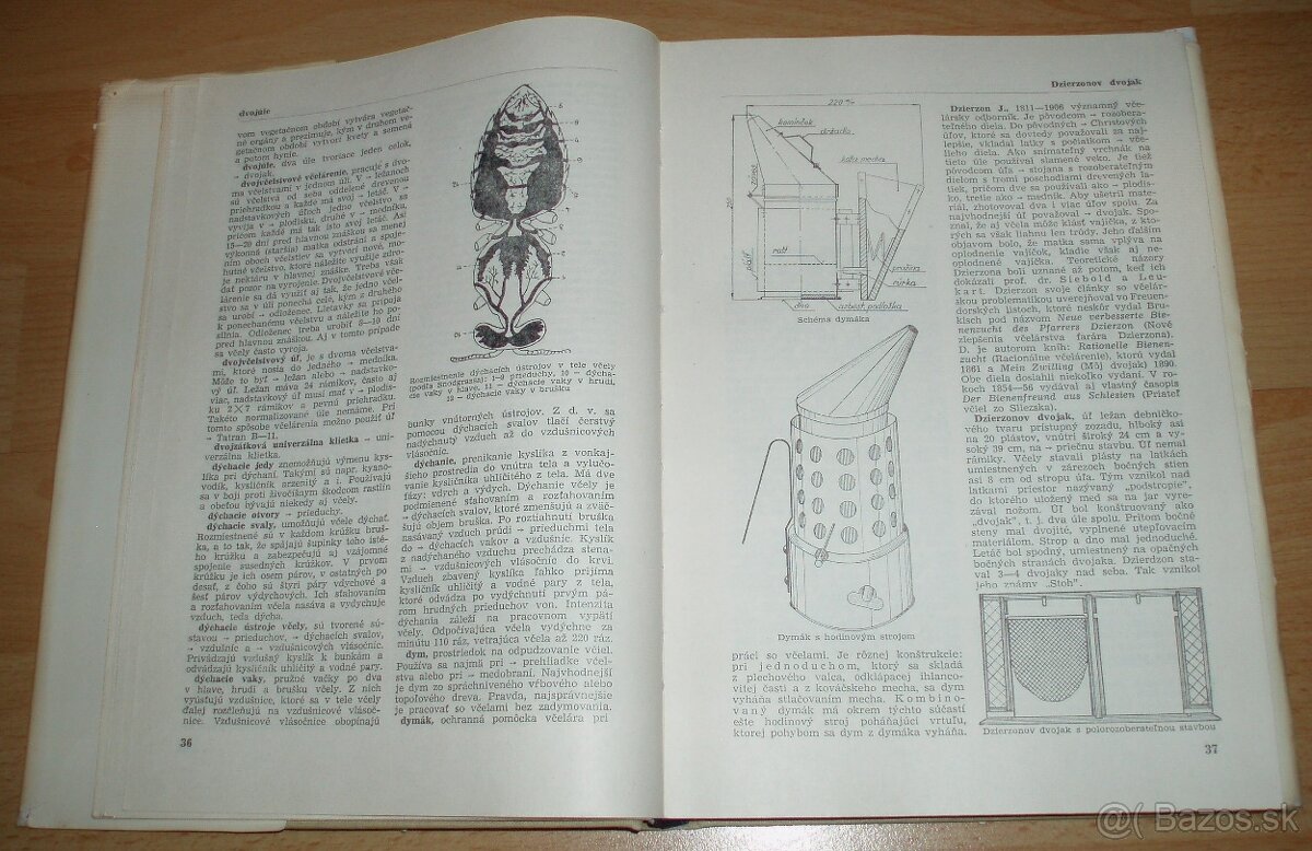 Včelársky náučný slovník - 5