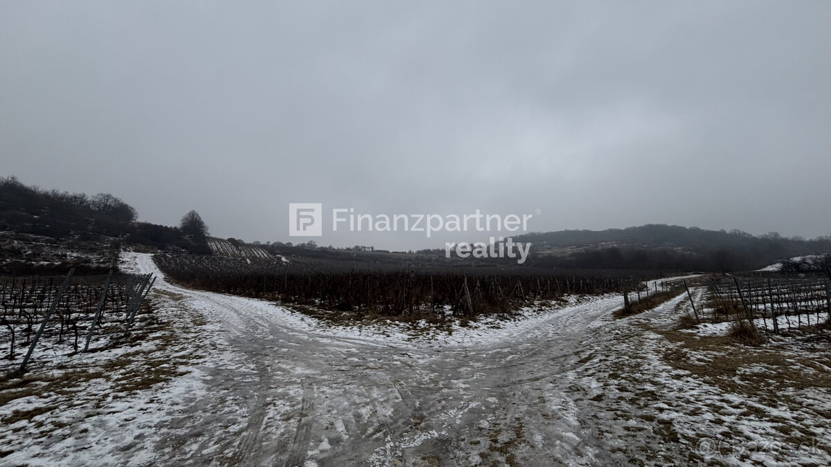 REZERVOVANÉ - Vinohrad 1862 m², v meste Pezinok + 3D - 5