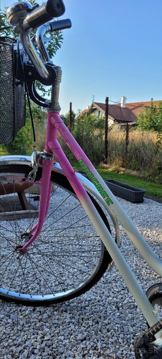 Bicykel Eska Progres - 5