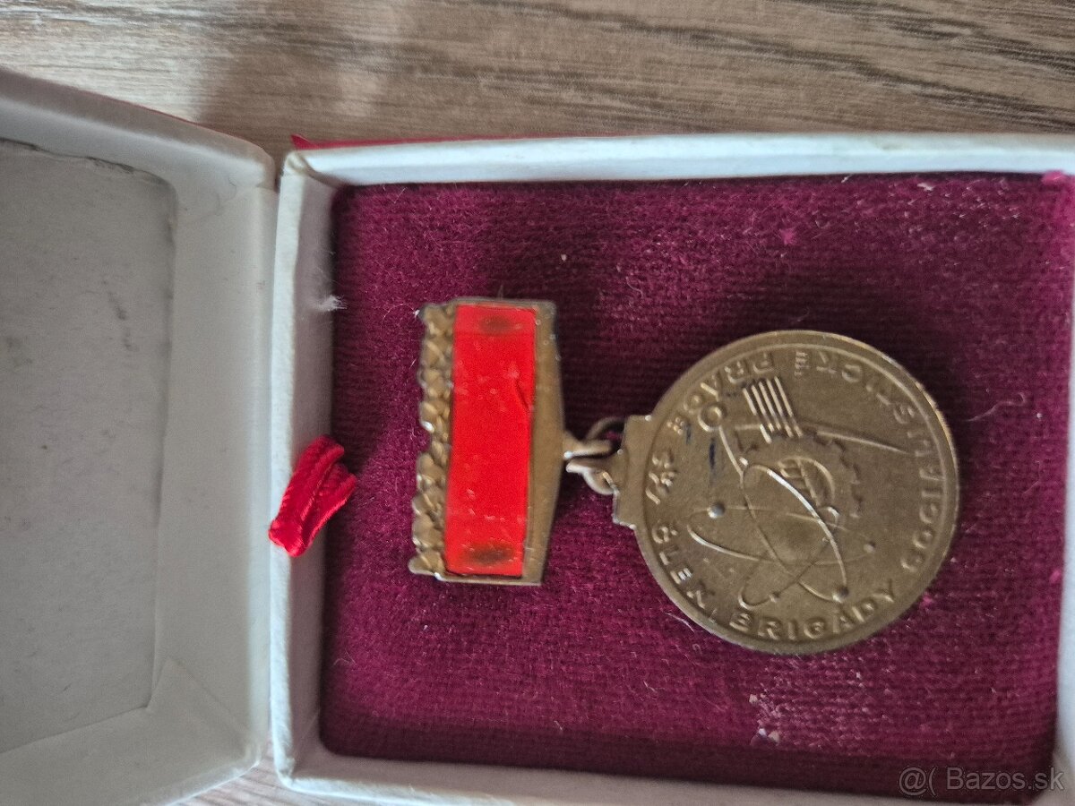 Odznak brigády BSP - 5