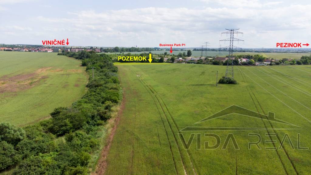 Na predaj pozemok v Pezinku o výmere 3860 m2 - 5