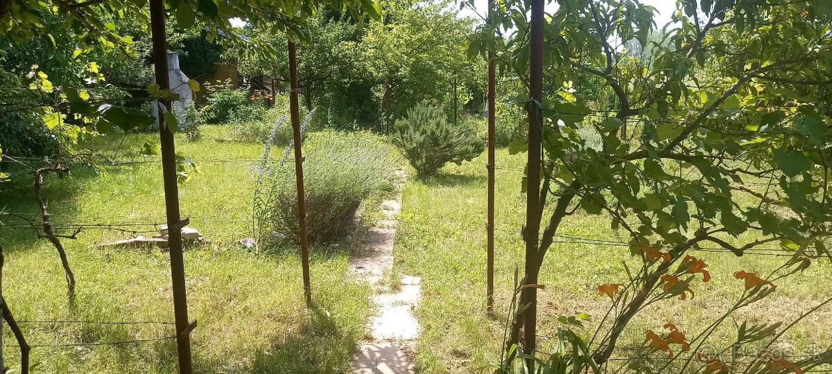 Záhradka v Seredi - 5