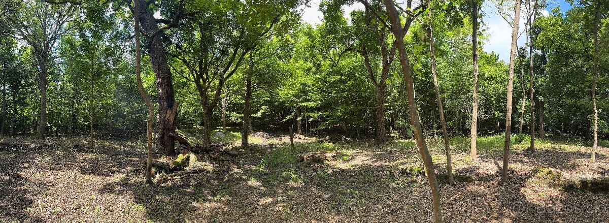 Hatfa - bývale kúpele v obci Viničky - 5