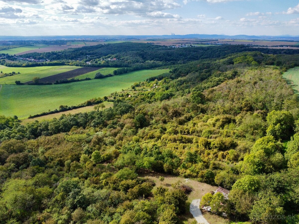 Kúp si svoj vlastný kúsok lesa – 6,82 ha prírody čaká na teb - 5