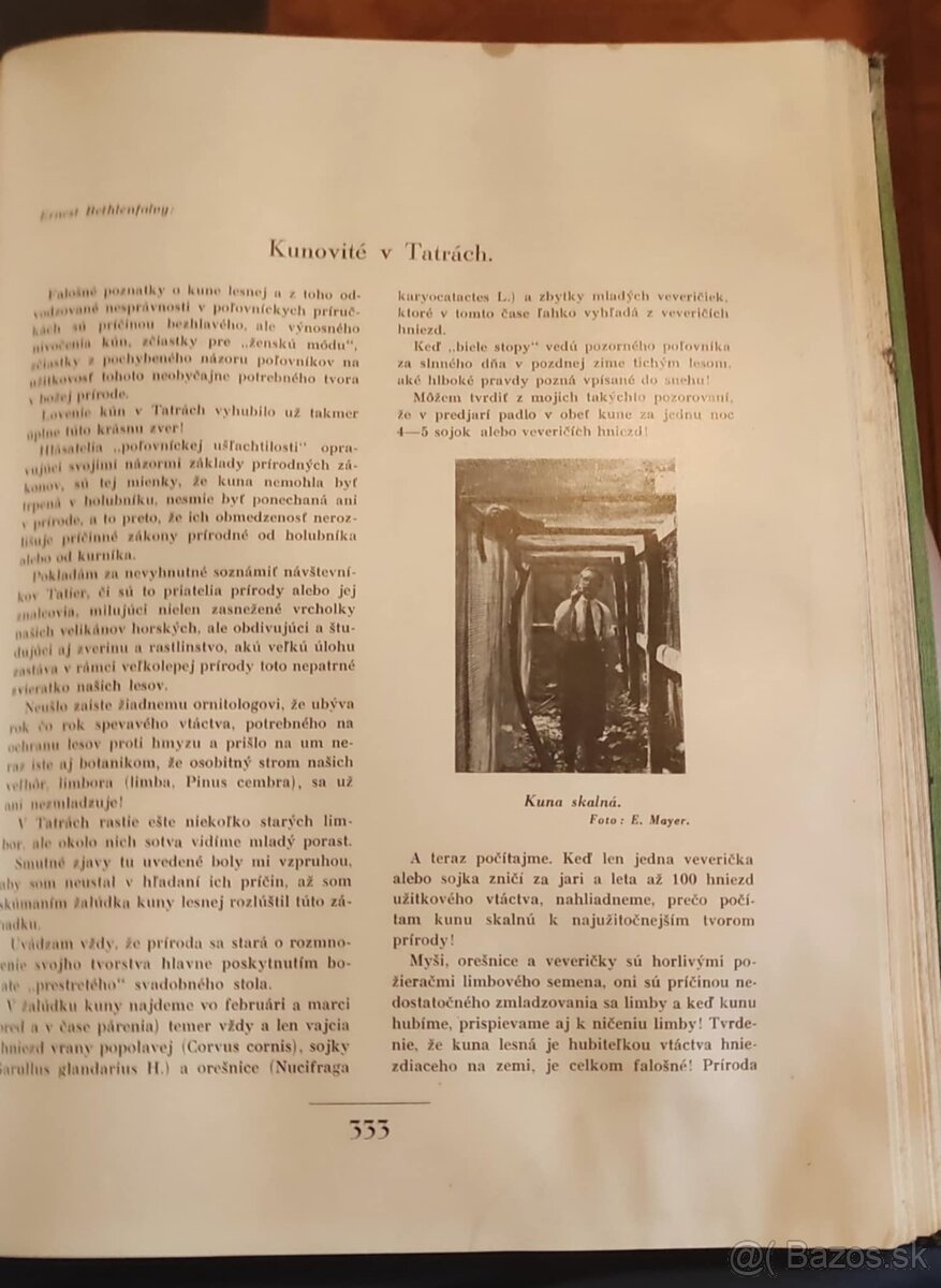 Nase polovnictvo 1935 - 5