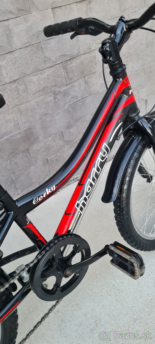 Bicykel Harry 20" - 5