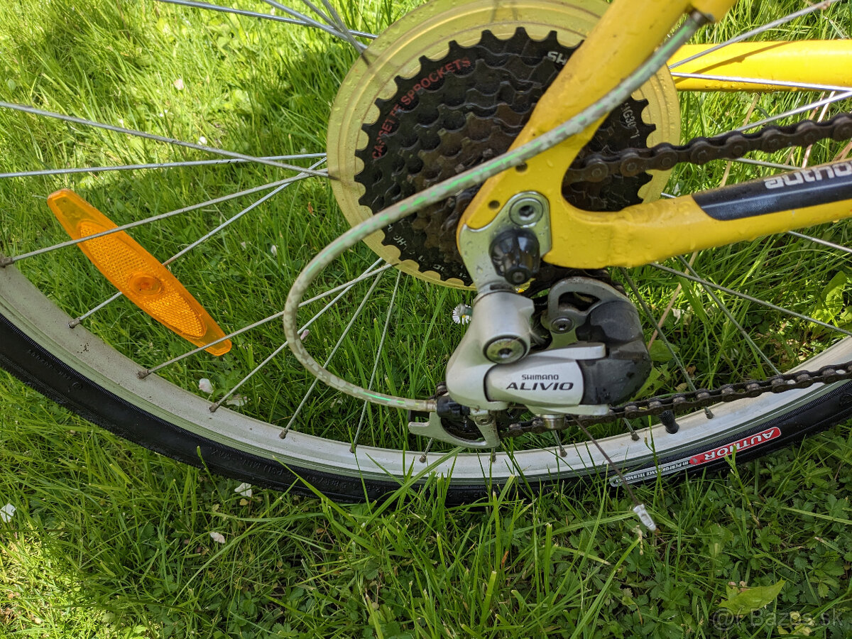 Horský bicykel Author basic asl - 5