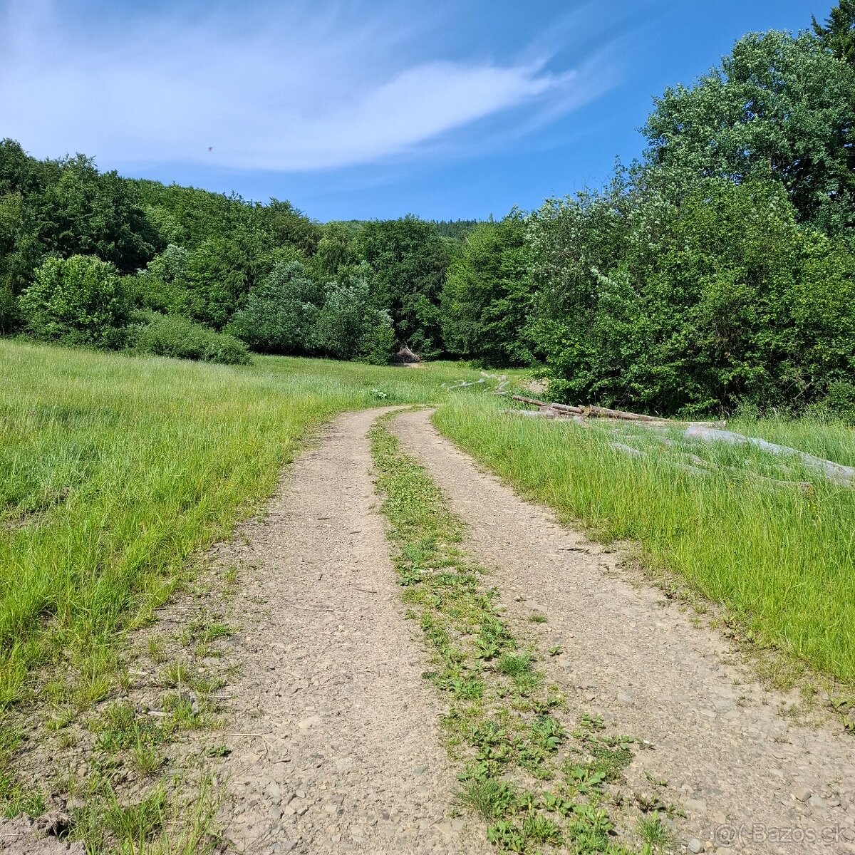 POZEMOK NA VÝSTAVBU REKREAČNEJ CHATY-REGETOVKA - 5