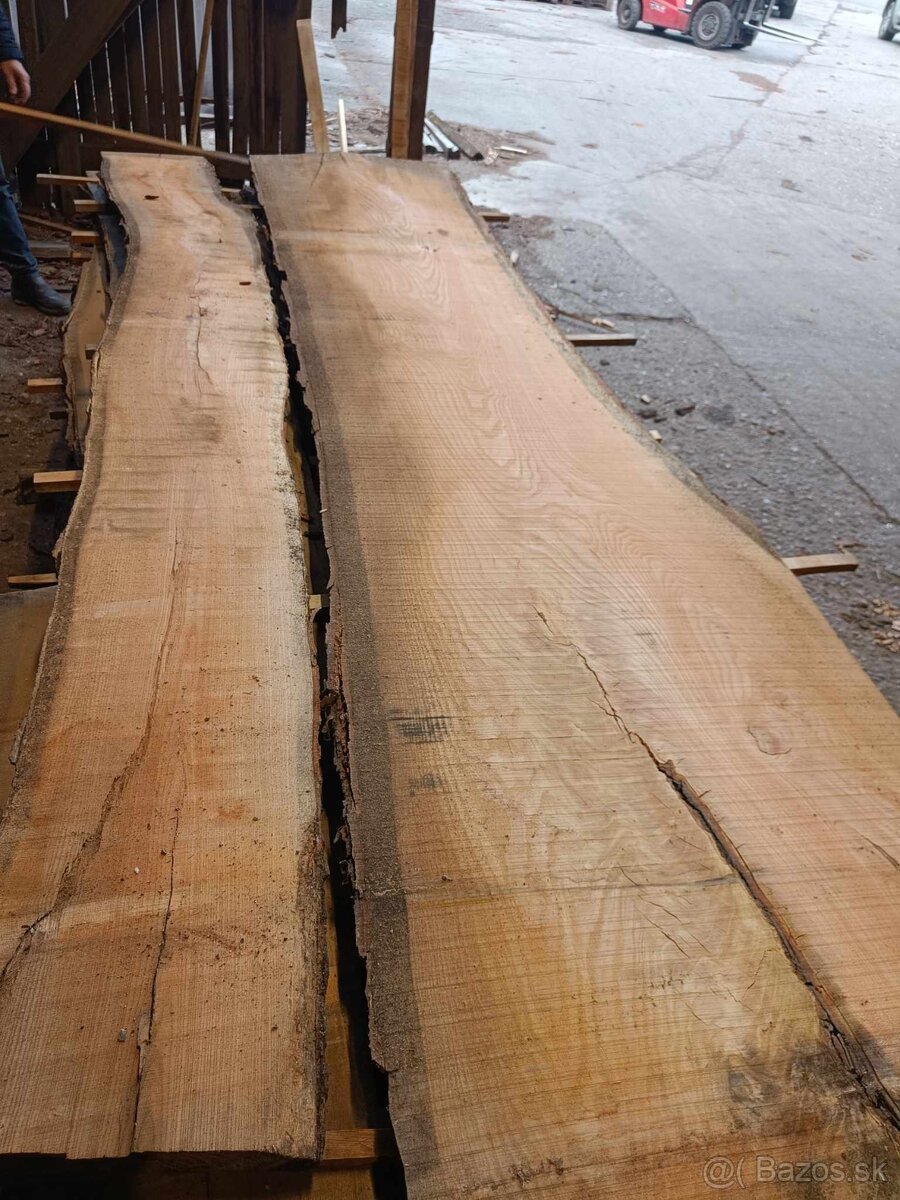 Japonská sophora - fošne - 5