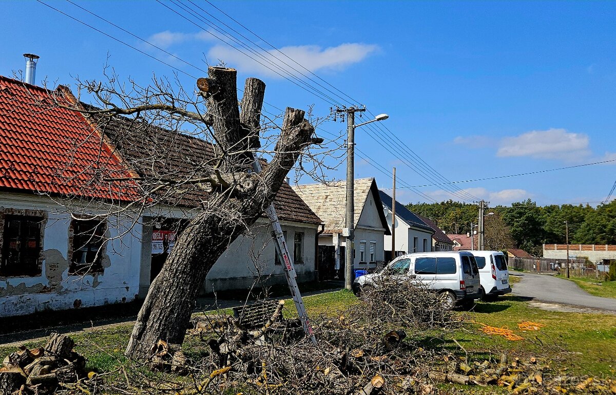 Kosenie a mulcovanie - 5