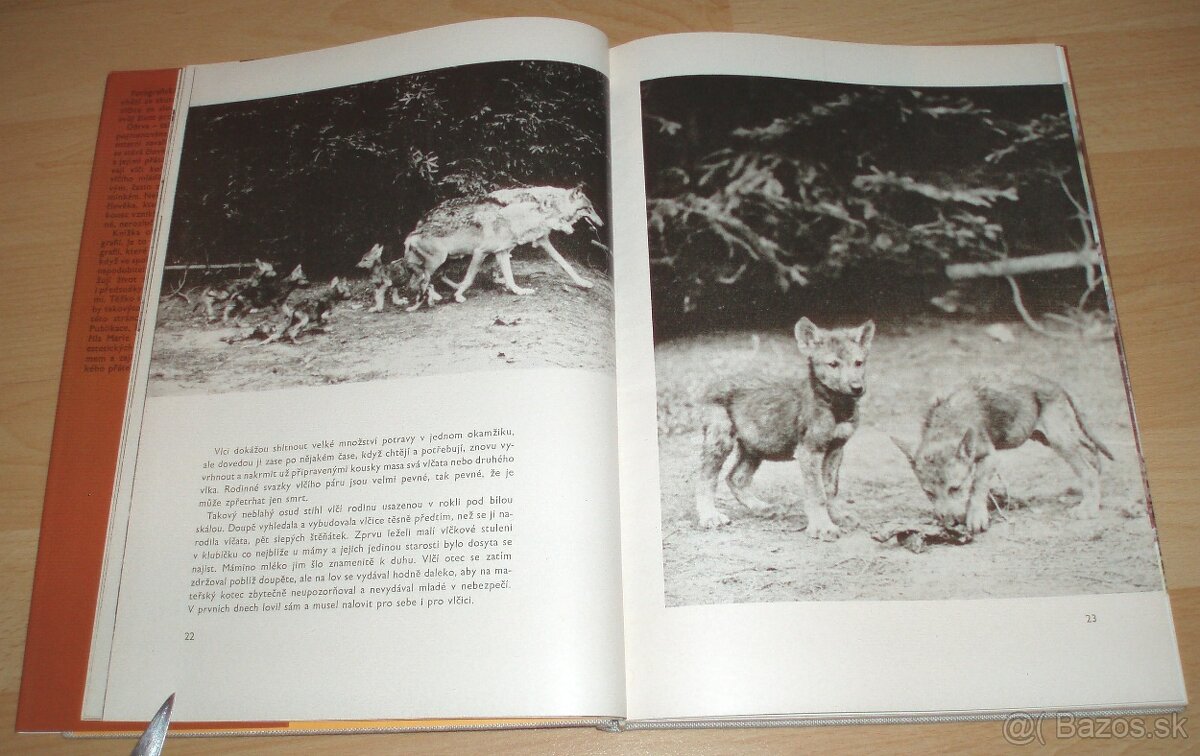 Osamělá vlčice - 5