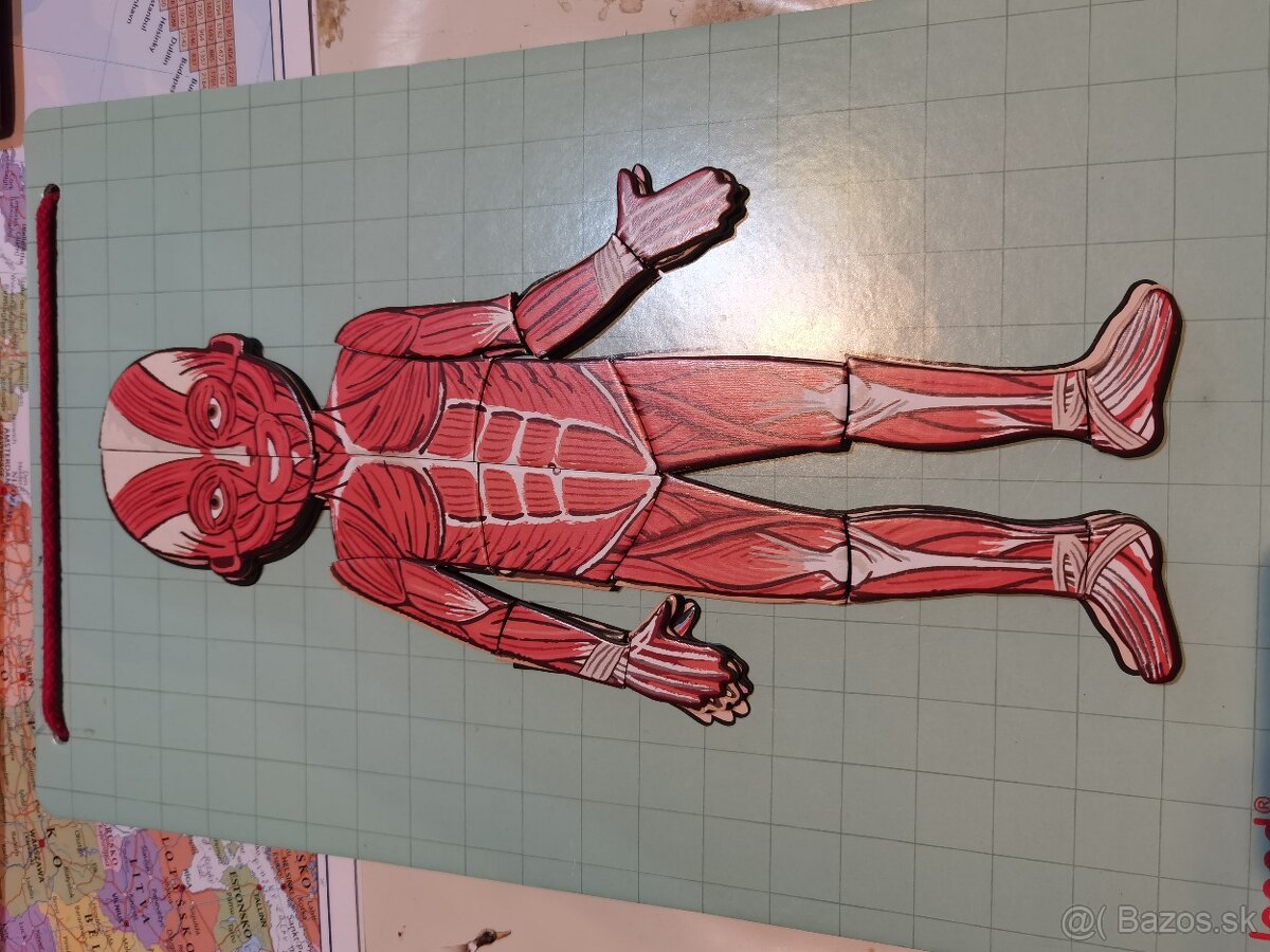 Predám ľudské telo magnety - 5