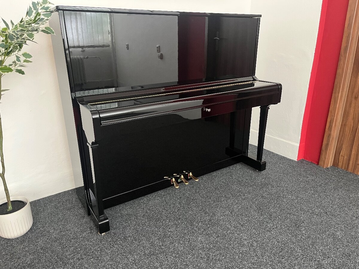 Koncertní Petrof model 125?IIB.Rok v. 1999 - 5