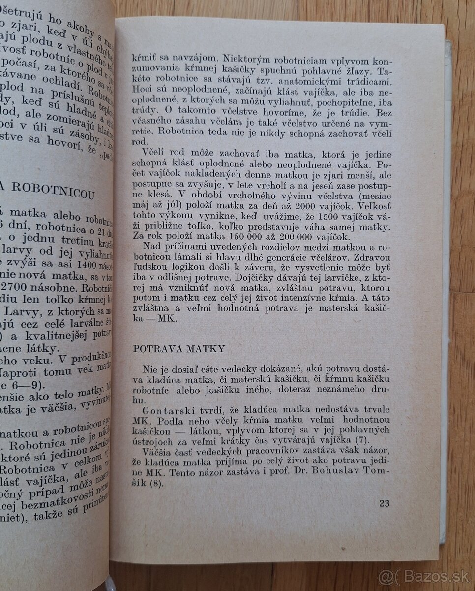 Vcelia materska kasicka - 5