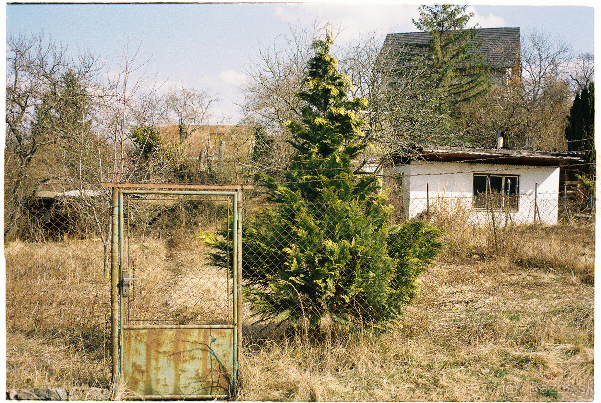 7artisans 35mm f2 pre Leica M - 5