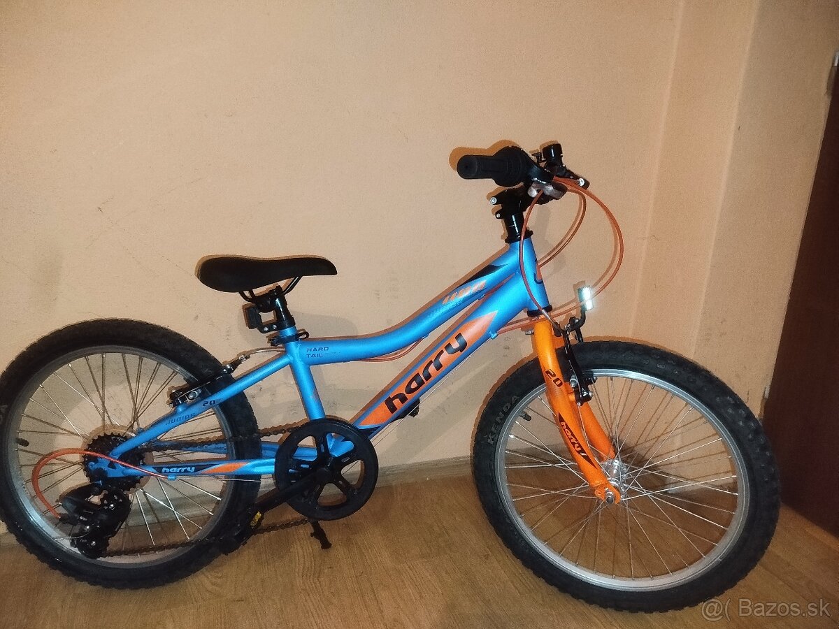 Detský bicykel Harry 20 - 5