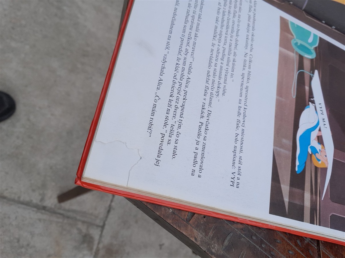 Predám knihu Walt Disney - 5