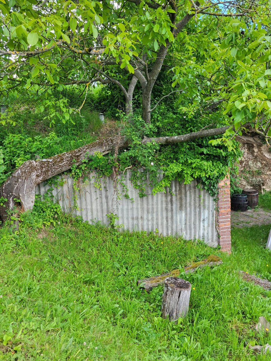Viničný dom + vinica + ovocný sad, Čajkov, Štiavnické vrchy - 5
