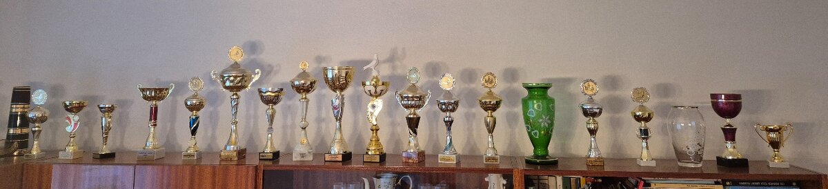 Predám poštové holuby / Eladók postagalambok - 5